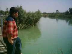 Rivir