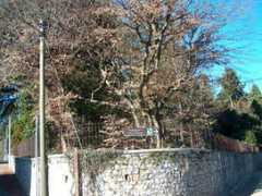 ospitiweb.indire.it Rizzani