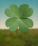 Rlucky