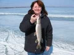 bitemebaitco.com Rmary