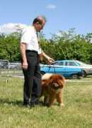 netchows.com Roanne