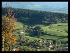Robache