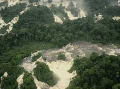 Robache