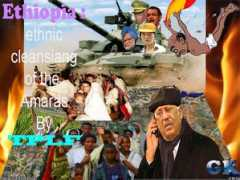 ethiomgf.com Robele