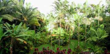 hanagardenland.com Roberthe