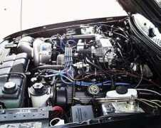 mustangworld.com Robertj