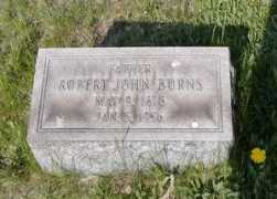 freepages.genealogy.rootsweb.ancestry.com Robertjohn