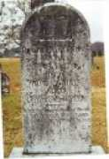 freepages.genealogy.rootsweb.ancestry.com Robinns