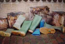 wringtonsomerset.org.uk Robinsn