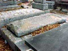 brightoncemetery.com Robinsone