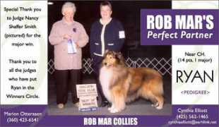 colliesonline.com Robmar