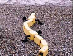 margheritacampaniolo.it Robotica
