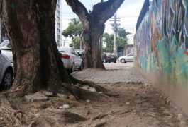 diariodepernambuco.com.br Rochael