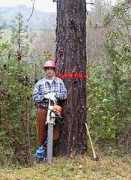 forestry.about.com Rochana