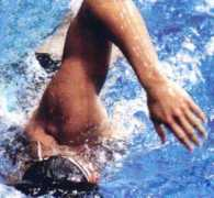 swimmtech.com Rodale