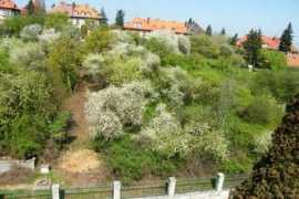 ttnz.cz Rodeli