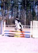 Rodester