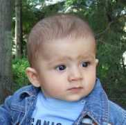 utilecopii.ro Rodyk
