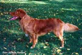 agrosofen.se Roeding