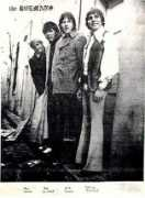 southerngaragebands.com Roemans