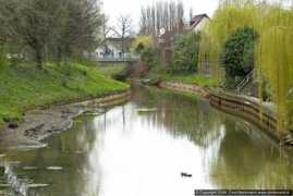 Roer