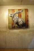 Roer