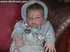 alkafroun.com Rofael