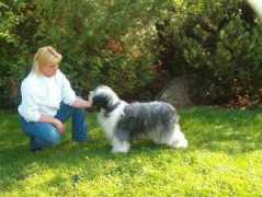 rogell.de Rogell