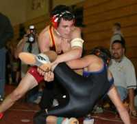 tech-fall.com Rogelstad