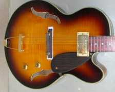 guitarsandaudio.com Rogine