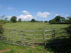 geograph.org.uk Rogus