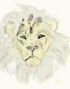 Roin
