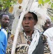 newzimbabwe.com Roina