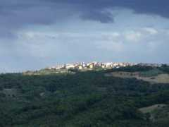 Roio