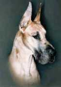 Rojon