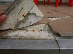 administrator24.info Rokiel