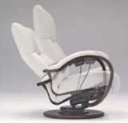 fuji-furniture.co.jp Roking