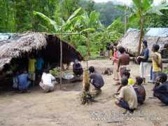 forum.fisherzone.com Rolance