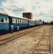 Rolandia