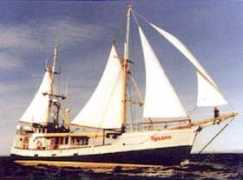 oldsaltcharters.com Rolano