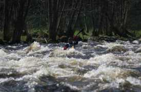 sport.idnes.cz Rolenc