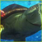 justjared.com Rolence