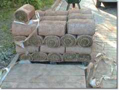 Rollen