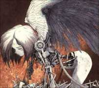 rollernews.com Rollerman