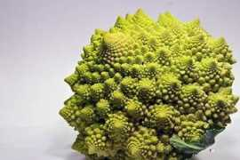 Romanesco