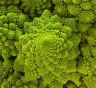 Romanesco