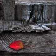 photodom.com Romantsov
