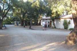 panoramio.com Romarin