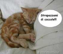 Romeoo