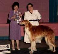 gtcbc.org Romilyn
